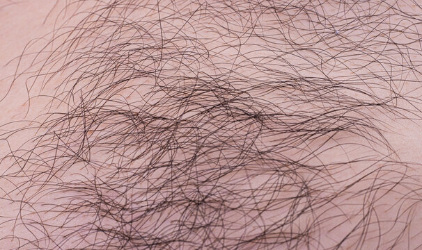 Pubic Hair Images – Browse 1,717,770 Stock Photos, Vectors, and Video |  Adobe Stock