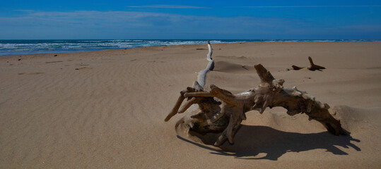 Plage du Pin Sec Naujac sur Mer
