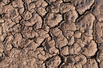 Dry cracked ground