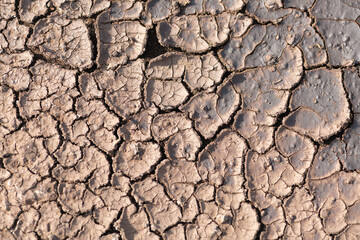 Dry cracked ground
