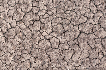 Dry cracked ground