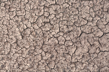 Dry cracked ground