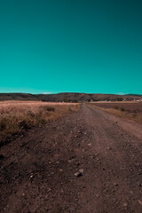 Agriculture  planting areas. Steppe landscape. Beautiful aqua blue sky. Sunny summer day. Country road.