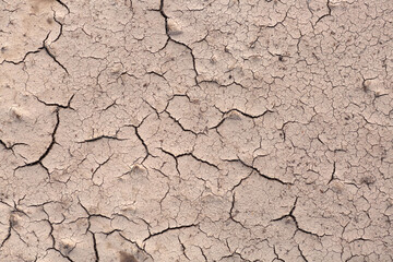 Dry cracked ground