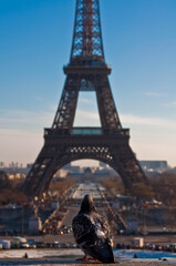 A different view of eiffel tour.