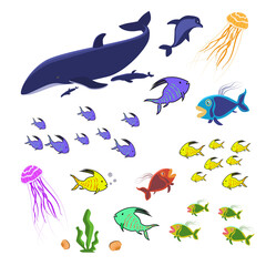 Set of marine animals isolated on white. Colorful fish, jellyfish and whale. A collection of sea creatures for the ocean aquarium. Vector EPS10.