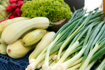 Stack with ripe green onion and squashes on the counter of the Belarussian market.