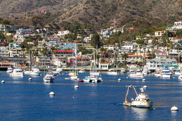 Catalina Island