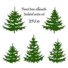 Christmas forest . Coniferous Forest. Winter Christmas Forest of fir trees silhouette for printing. EPS 10