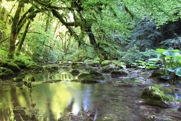 Sur les traces de Courbet ; le ravin du puit noir