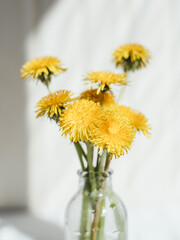 Bouquet of yellow dandelions, on a light background. Summer concept.