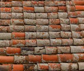 Old Roof Tiles, top view