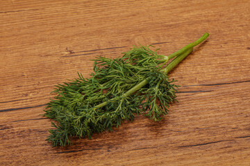 Aroma seasoning - Green Dill branch