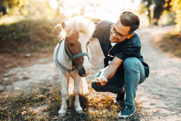 Young attractive male veterinarian examining and feeding adorable little pony horse.