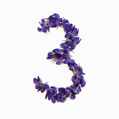 Photo No. 3 of purple flowers on a white background. Typographic design element. Part of the flower alphabet. Numeral 3.