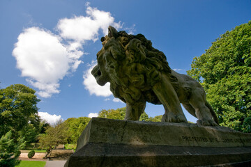 Fototapete bei efototapeten.de bestellen   