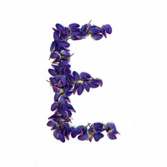 Letters of flowers, a bright alphabet of purple petals. Letter E.