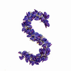 Letters of flowers, a bright alphabet of purple petals. Letter S.