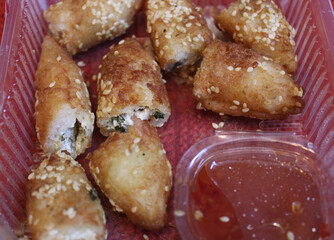 Close up of delicious Dahi Kebabs
