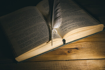 feather on the open book