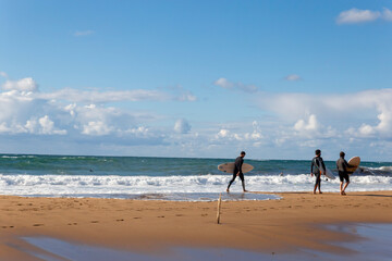 Surfer people carrying their surfboard in the beach, ready to surf