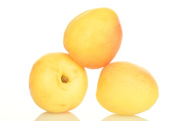 Fresh ripe, bright yellow apricots, close-up, on a white background.