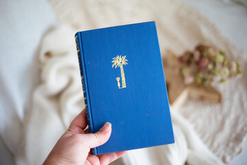 Blaues Buch das von einer Hand gehalten wird mit Lichterkette und beigem Pullover