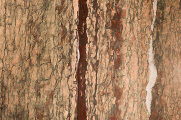 background with marble texture, marble tiles, ceramic wall tiles and floor tiles, marble stone texture for wall tiles, rustic marble texture, granite porcelain tiles.