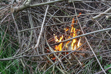 Tree branches are burning with a small fire, a tourist theme. Protect nature do not leave a fire.