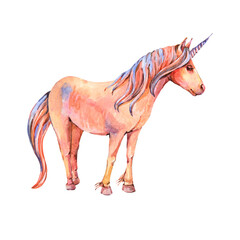 Watercolor unicorn illustration isolated on white background.
