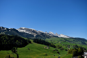 Fototapeta na wymiar Gebirgslandschaft in Wildhaus in der Schweiz bei strahlend blauem Himmel 7.5.2020