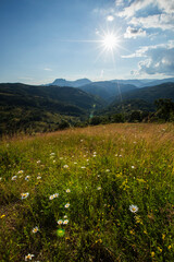 Summer landscape in Apuseni Mountains, Romania