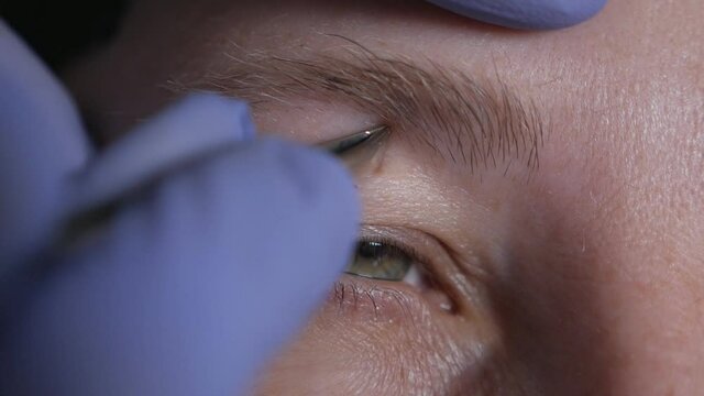 Cosmetic procedure for eyebrow care during the virus. Plucking eyebrows with client tweezers during virus