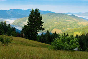 Summer landscape in Apuseni Mountains, Romania