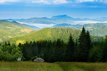 Summer landscape in Apuseni Mountains, Romania