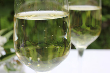 Close up of two glasses of champagne on a natural green blurred background. Summer party outdoors
