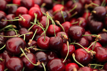 Red cherries with green stems in the grocery