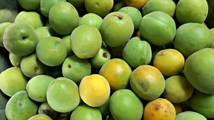 매실 열매 청매실 황매실