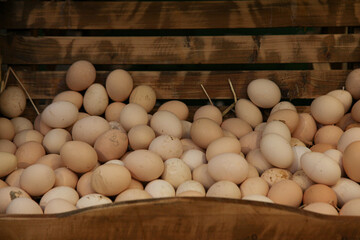 Organic eggs in the wooden tray from the farmland