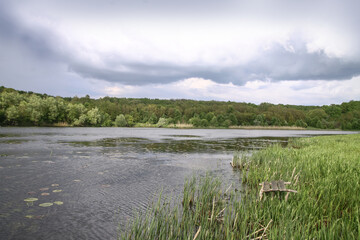 Landscape with a beautiful river and swans on a background of hills. Lake in the ecological zone in europe. Stock image for design.