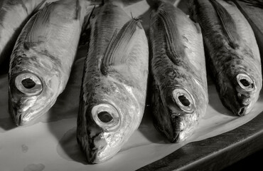 Fish on the table. Flying fish (Exocoetidae). Close up. Black and white.