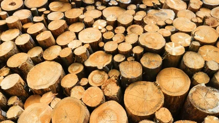 Möbelaufkleber Holzstapel. © Frofoto
