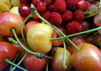 Fruits du jardin