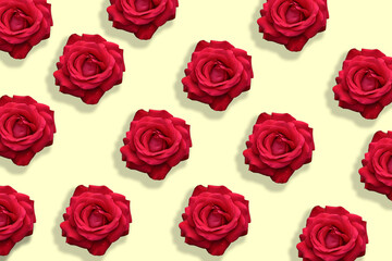rosa rose petali rossa fiori natura sfondo arte logo rose fioraio 