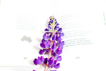 Delicate lupine flowers and a book. Light composition with bright and purple flowers. A gentle and romantic morning with tea and a book. A book of poems for Breakfast.