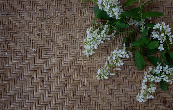 Branch with cherry blossom on the rattan background. Top view, flat lay.