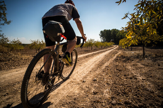 EL CHORRO, SPAIN. A man riding a 'gravel bike' along a smooth dirt road though a plantation of almond trees.