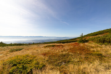 Obraz premium Mountain landscape, Beskid Mountains in Poland