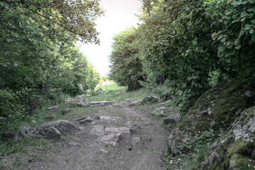 Nice mountain road with a beautiful view. A rock on the side of a dirt path. Stock landscape for design