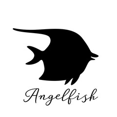 Vector illustration of an angelfish silhouette logo design concept.